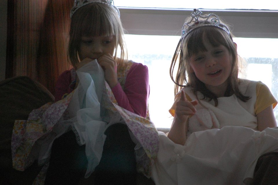 DSC 0148 (LARGE)